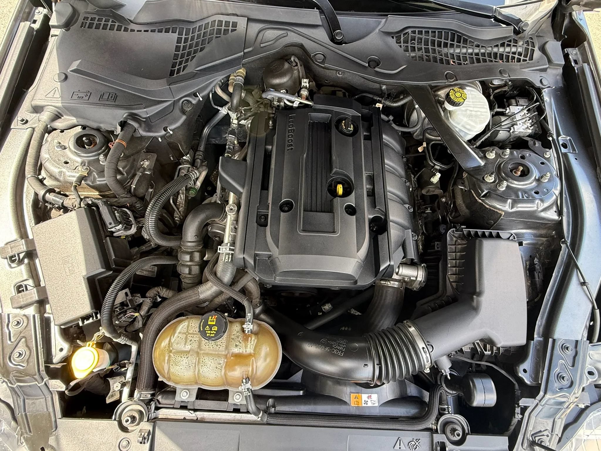 Used 2018 Ford Mustang Premium w/ Equipment Group 201A RWD image 17