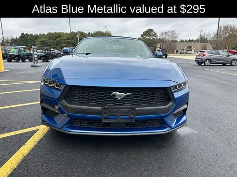 Used 2024 Ford Mustang Convertible image 2