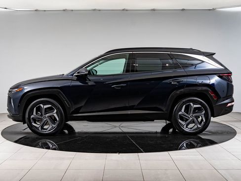 Used 2024 Hyundai Tucson Limited AWD/4WD image 5