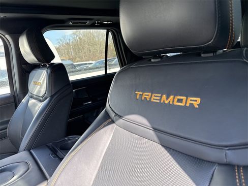 Used 2025 Ford Expedition Tremor image 10