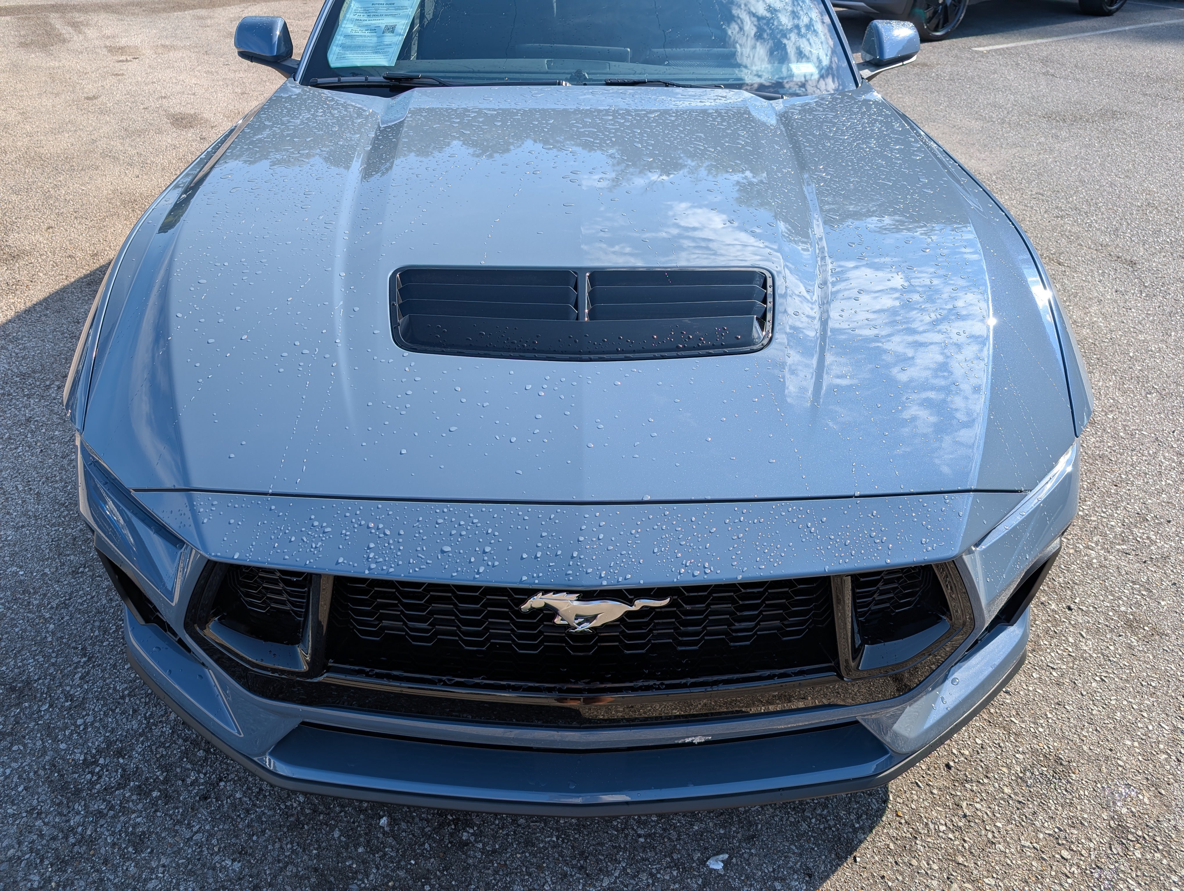 Used 2026 Ford Mustang GT RWD image 13