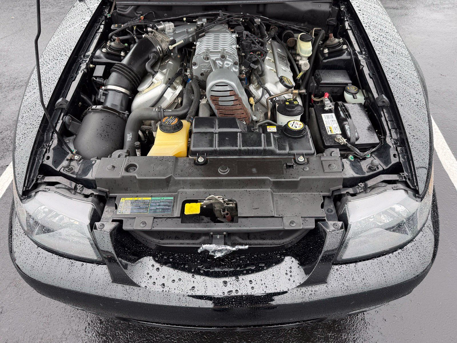 Used 2004 Ford Mustang Cobra RWD image 26