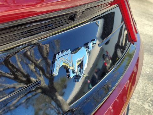 Used 2023 Ford Mustang EcoBoost w/ Equipment Group 101A image 5