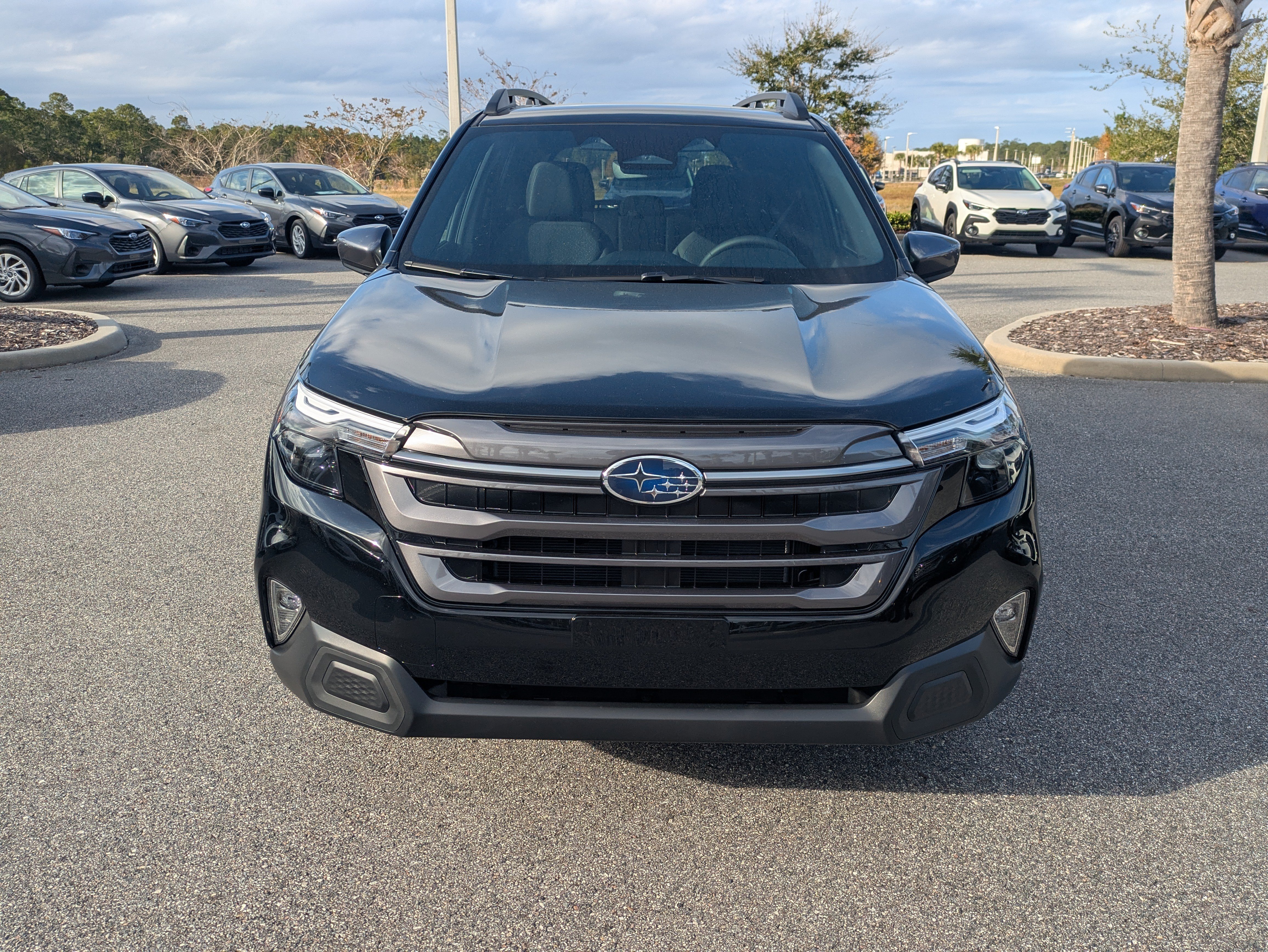 Certified 2026 Subaru Forester Premium w/ Premium/Limited Package AWD/4WD image 9