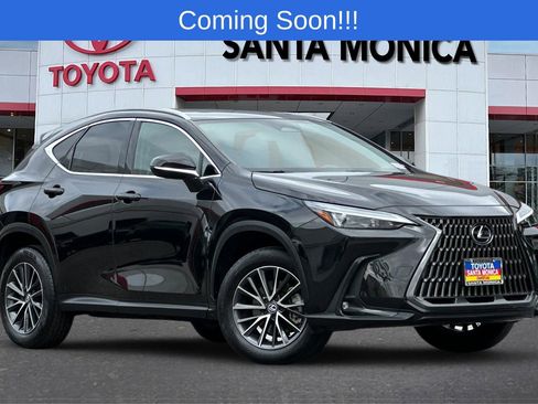 Used 2024 Lexus NX 250 FWD image 1