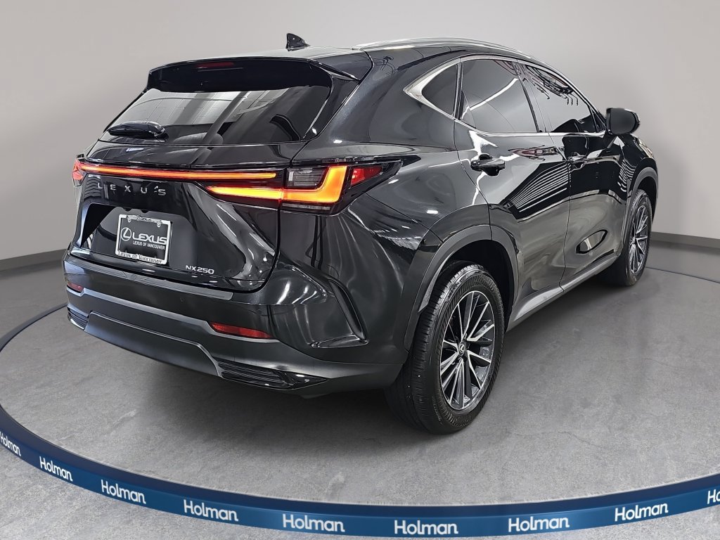 Used 2025 Lexus NX 250 FWD w/ Cold Area Package image 6