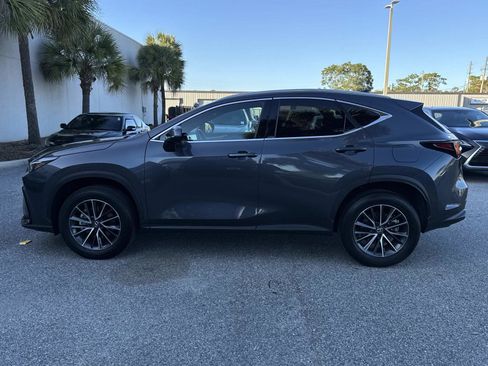 Certified 2025 Lexus NX 250 250 Premium image 6