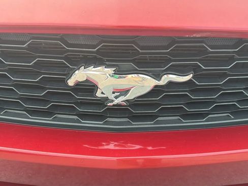 Used 2016 Ford Mustang Coupe w/ Equipment Group 051A RWD image 9