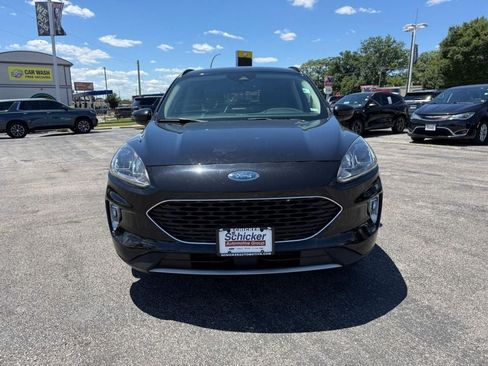 Used 2020 Ford Escape SEL FWD image 10