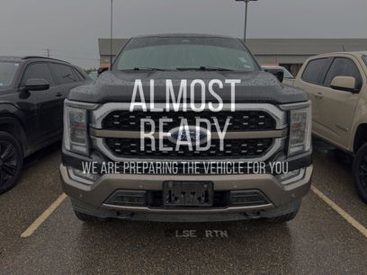 Used 2023 Ford F150 King Ranch w/ Equipment Group 601A High