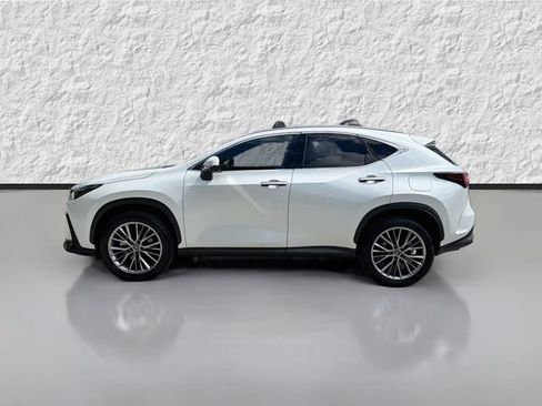 Used 2025 Lexus NX 350 AWD w/ Accessory Package (K3) image 6