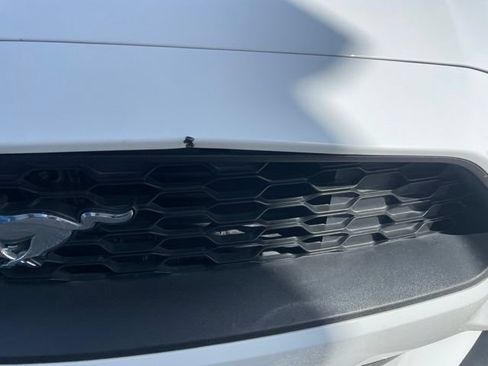 Used 2018 Ford Mustang Coupe w/ Equipment Group 101A RWD image 6