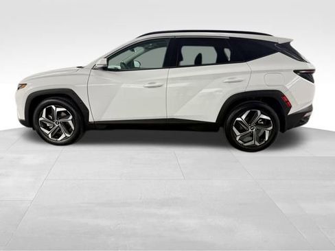 Used 2023 Hyundai Tucson Limited image 5