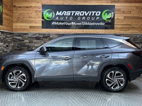 Used 2025 Hyundai Tucson Limited AWD/4WD image 14