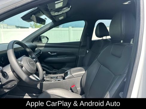 Used 2025 Hyundai Santa Cruz SEL FWD image 8