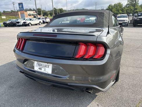 Used 2018 Ford Mustang Premium RWD image 5