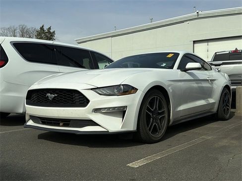 Used 2021 Ford Mustang Coupe w/ Equipment Group 101A image 2