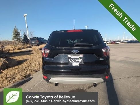 Used 2017 Ford Escape SE w/ SE Leather Comfort Package image 5