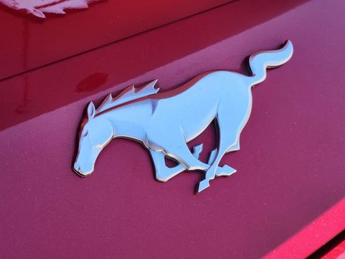 Used 2024 Ford Mustang Premium RWD image 12