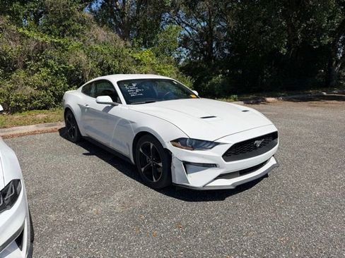 Used 2019 Ford Mustang Coupe RWD image 2