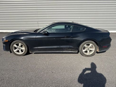 Used 2019 Ford Mustang EcoBoost image 6