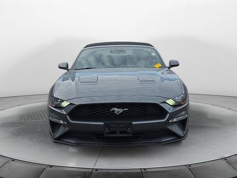 Used 2021 Ford Mustang Premium image 8