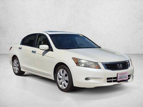 Used 2010 Honda Accord EX-L image 3