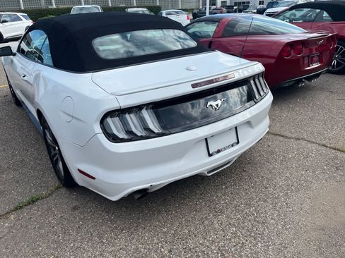 Used 2017 Ford Mustang Premium RWD image 13