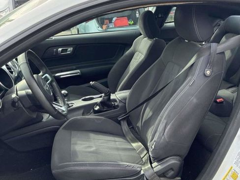 Used 2019 Ford Mustang Coupe RWD image 3
