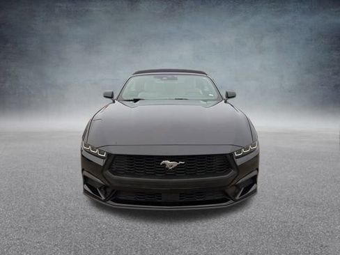 Used 2024 Ford Mustang Premium image 8