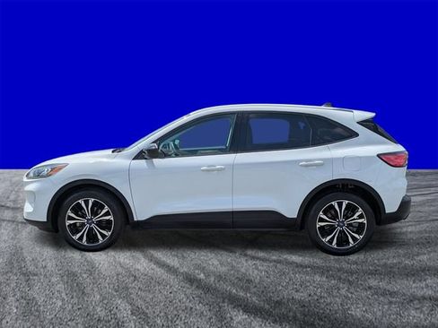 Used 2022 Ford Escape SE w/ SE Sport Appearance Package FWD image 7