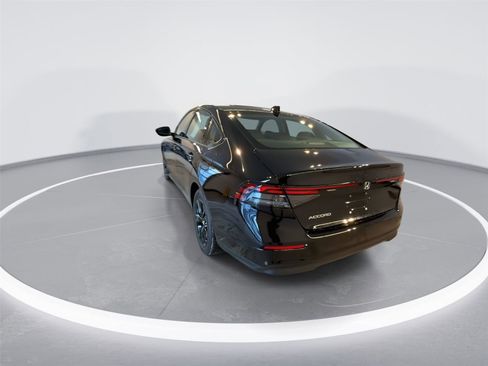 Used 2025 Honda Accord SE image 6