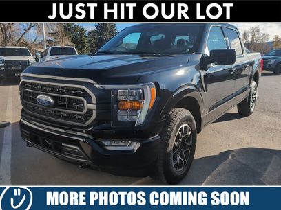 Used 2023 Ford F150 XLT w/ Equipment Group 302A High