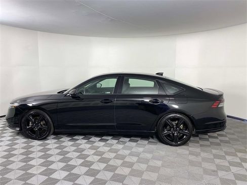 Used 2023 Honda Accord Sport image 5