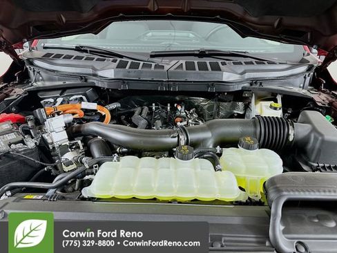 New 2025 Ford F150 XLT w/ Equipment Group 302A MID image 31