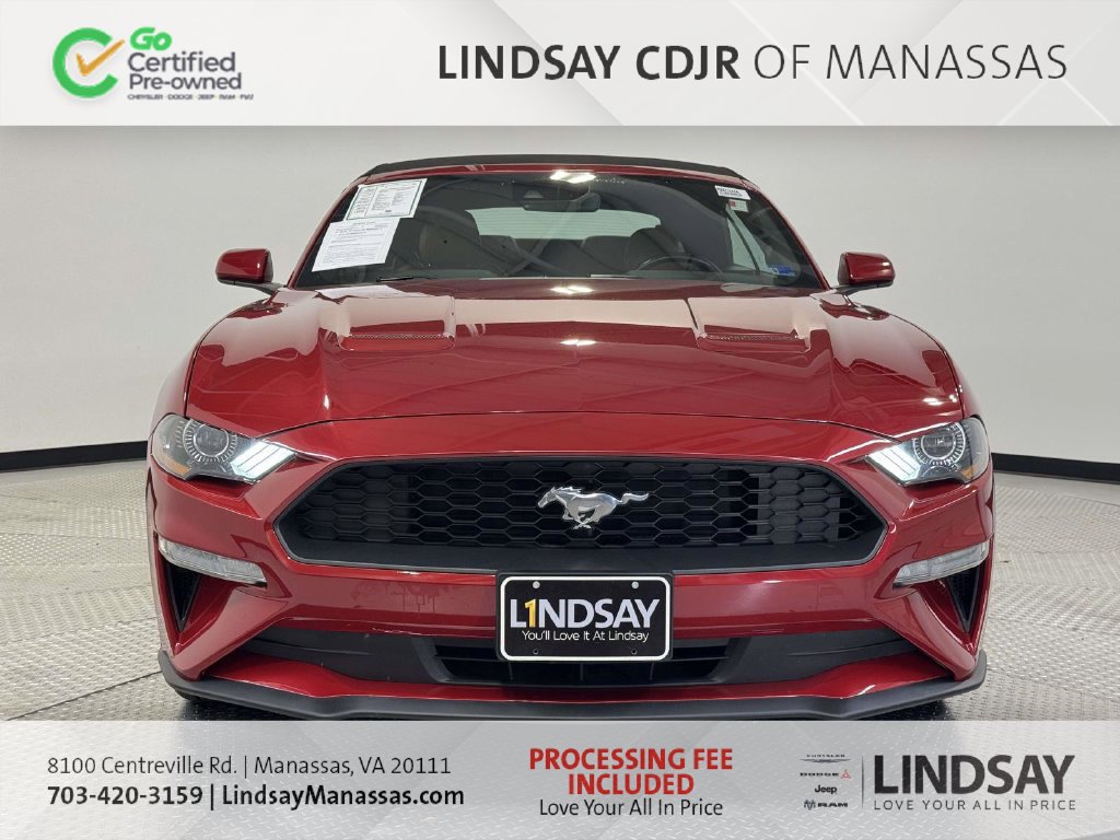 Used 2022 Ford Mustang Premium w/ Ford Safe & Smart Package RWD image 4