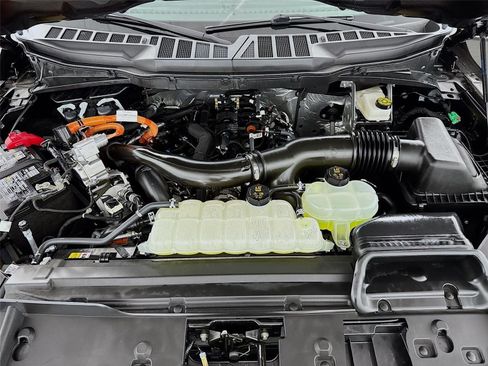 Used 2025 Ford F150 XLT w/ Equipment Group 302A MID AWD/4WD image 31
