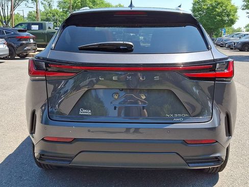 Used 2024 Lexus NX 350h AWD image 7