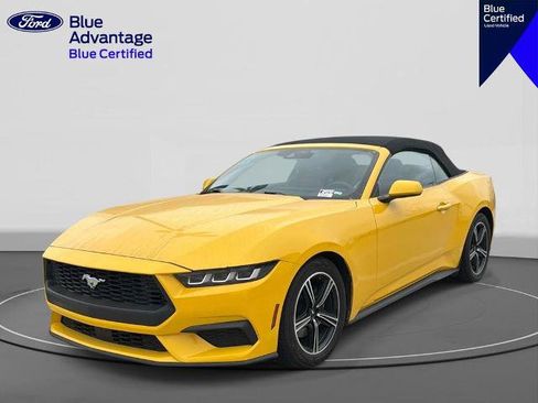 Certified 2024 Ford Mustang Premium RWD image 3