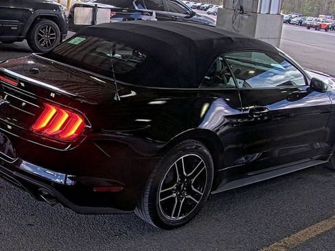 Used 2020 Ford Mustang Premium RWD image 4