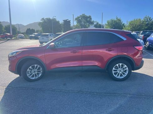 Used 2020 Ford Escape SE AWD/4WD image 12