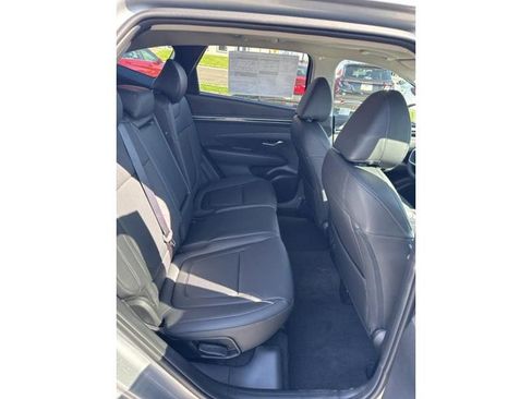 New 2024 Hyundai Tucson SEL w/ Convenience Package image 19