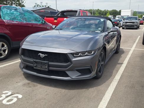 Used 2024 Ford Mustang Premium RWD image 1