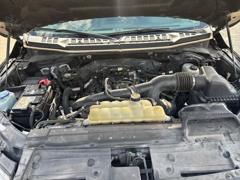 Used 2019 Ford F150 XLT w/ Equipment Group 302A Luxury AWD/4WD image 21