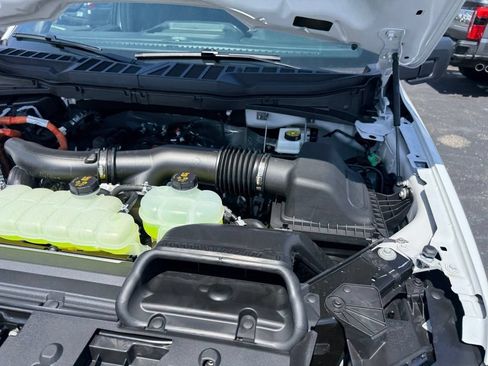 New 2026 Ford F150 STX w/ Equipment Group 200A AWD/4WD image 59