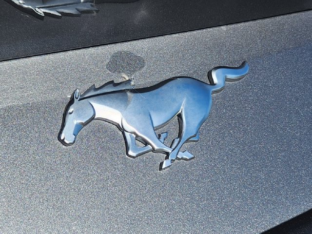 New 2026 Ford Mustang Coupe RWD image 17