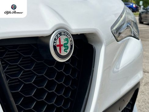 Used 2023 Alfa Romeo Stelvio Sprint image 3