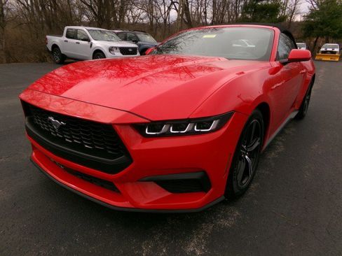 Used 2024 Ford Mustang Premium image 5