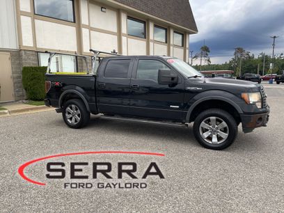 Used 2011 Ford F150 FX4