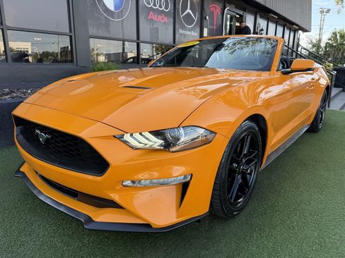 Used 2018 Ford Mustang Premium w/ Equipment Group 201A RWD image 1